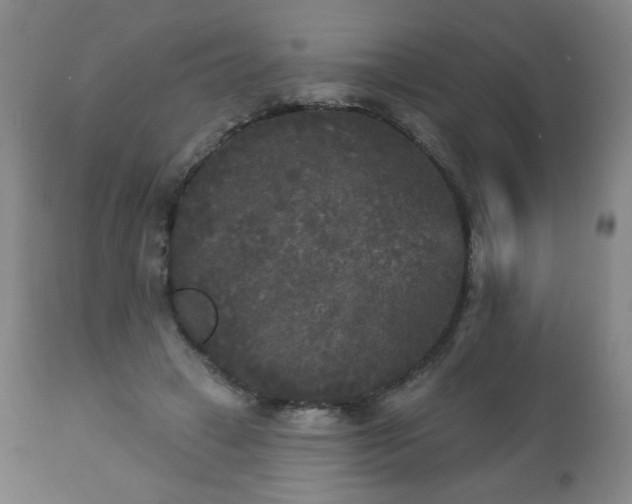 X0000112960449200909031025