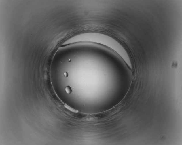 X0000112960452200909031025