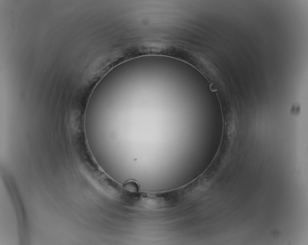 X0000112960455200909031025