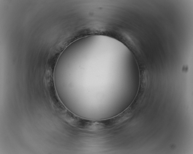 X0000112960463200909031025