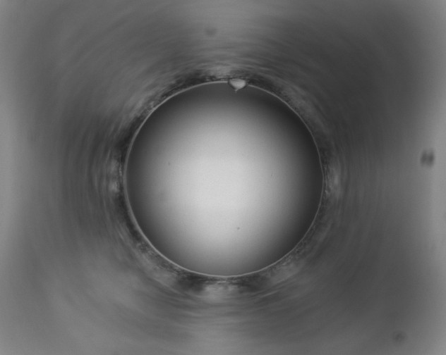 X0000112960470200909031026