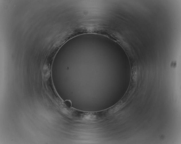 X0000112960471200909031026