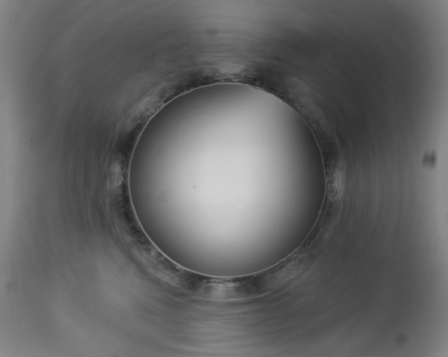 X0000112960472200909031026