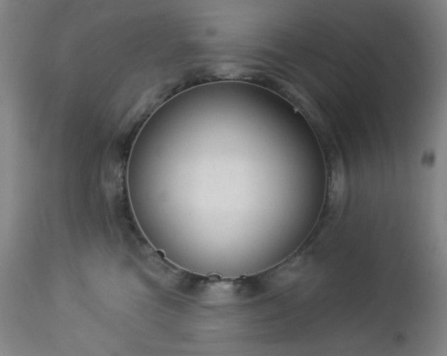 X0000112960473200909031026