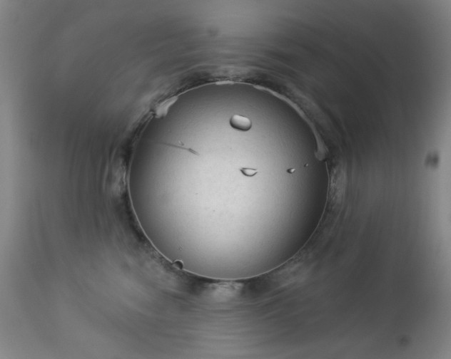 X0000112960474200909031026