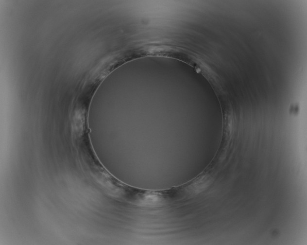 X0000112960475200909031026