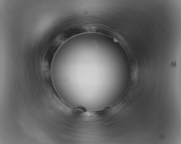 X0000112960477200909031026