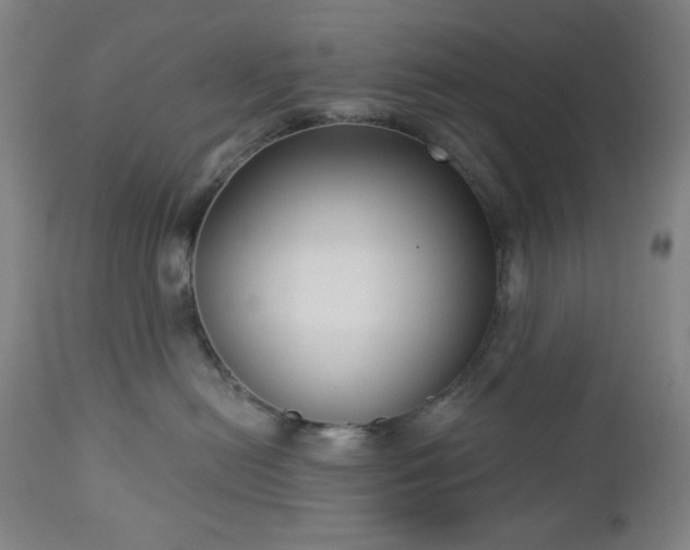 X0000112960478200909031026