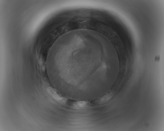 X0000112960479200909031026