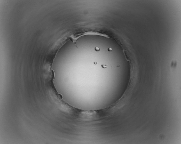 X0000112960480200909031026