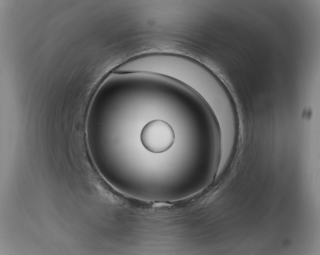 X0000112960481200909031025