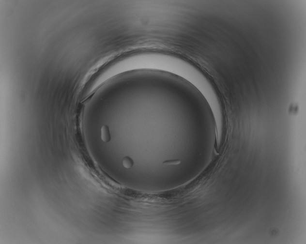 X0000112960488200909031025