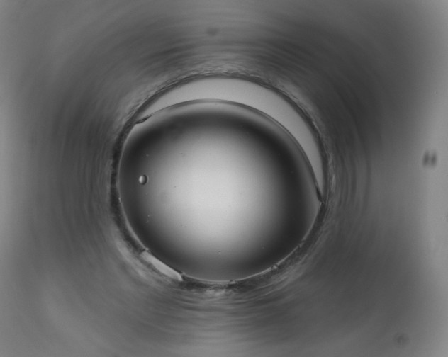 X0000112960493200909031025