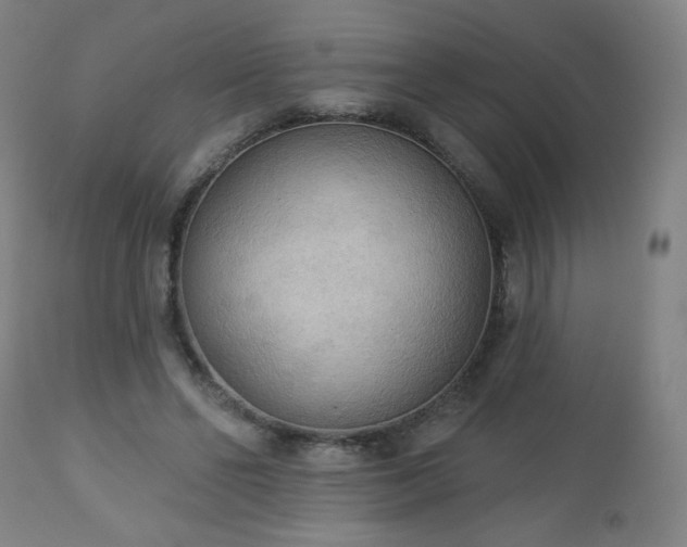 X0000112960494200909031025