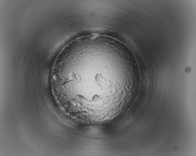 X0000112960495200909031025