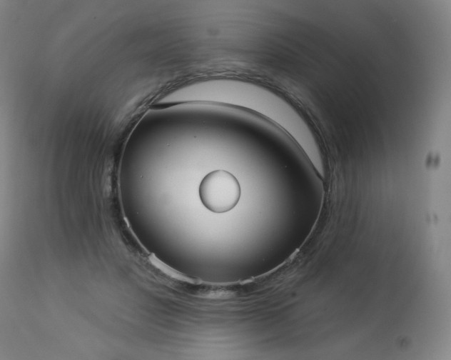 X0000112960501200909031025