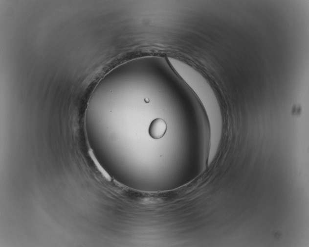 X0000112960508200909031024