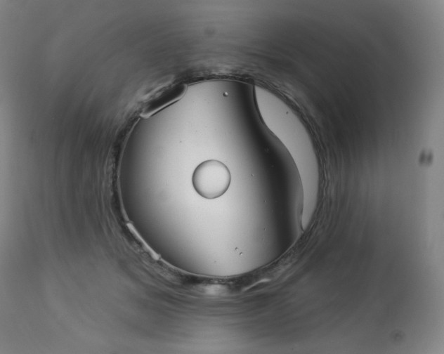 X0000112960509200909031024