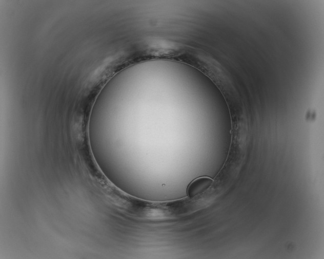 X0000112960510200909031024