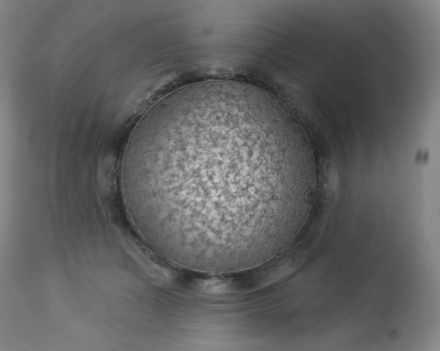 X0000112960511200909031024