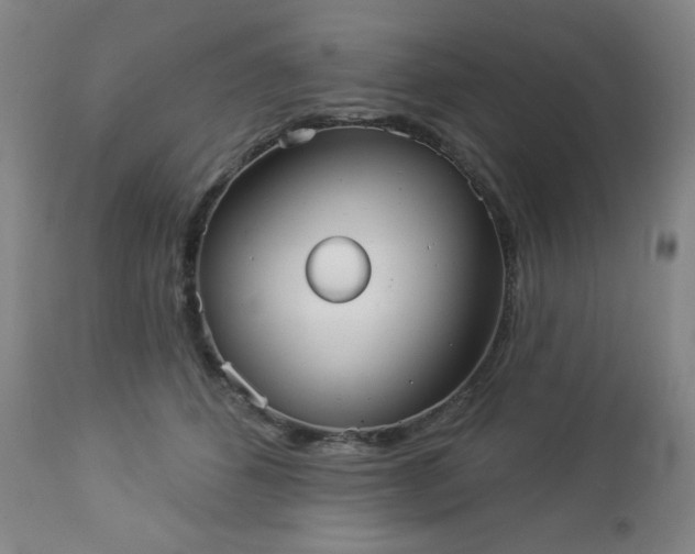 X0000112960512200909031024