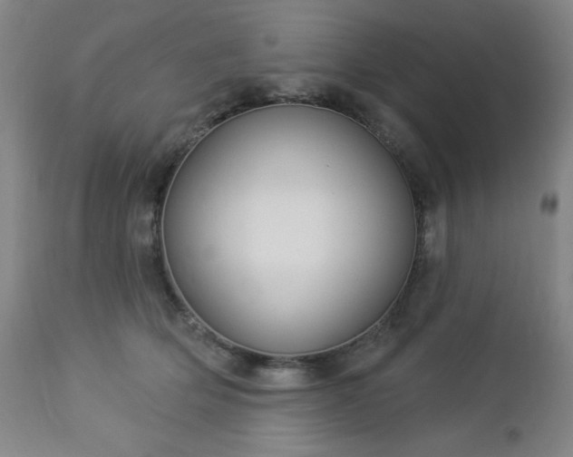 X0000112960514200909031024