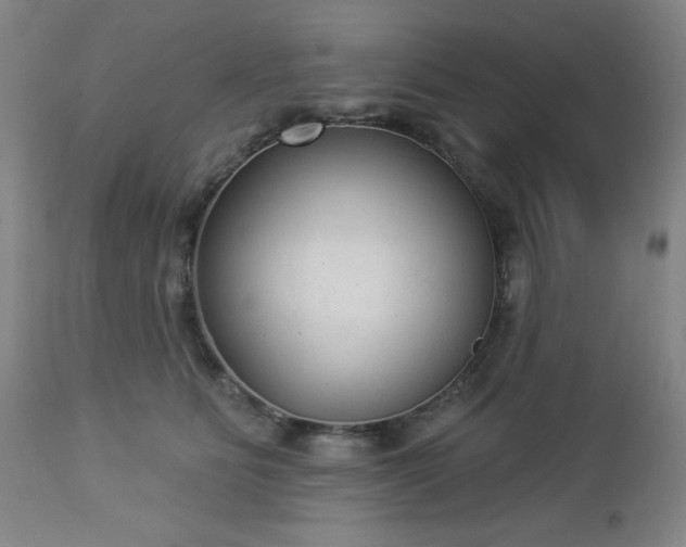 X0000112960515200909031024