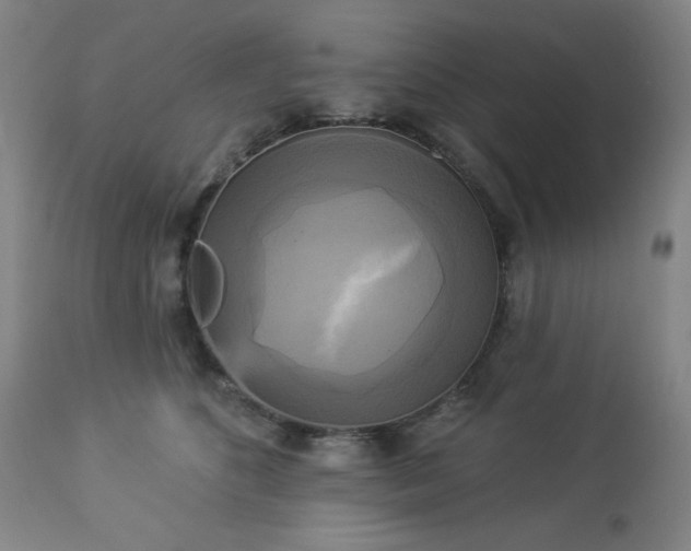 X0000112960516200909031024