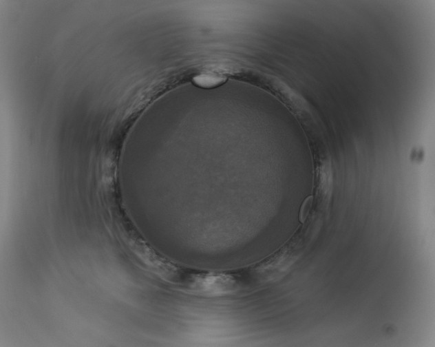 X0000112960517200909031024