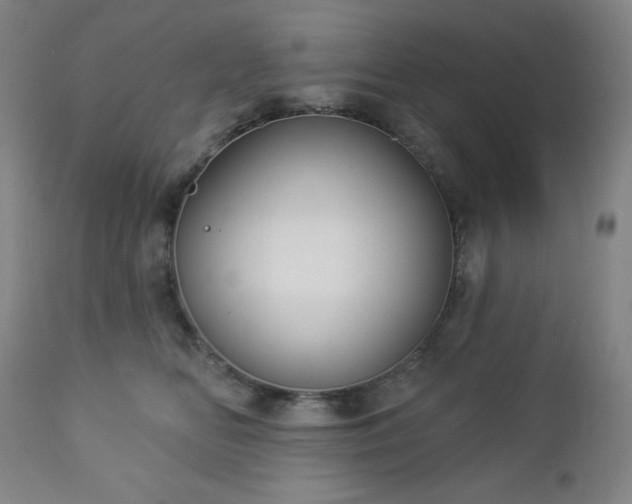 X0000112960518200909031024