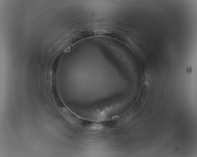 X0000112960519200909031024