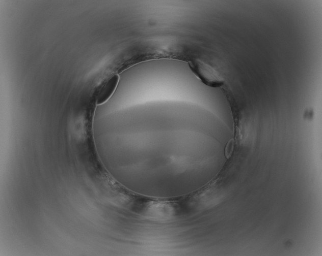 X0000112960520200909031024