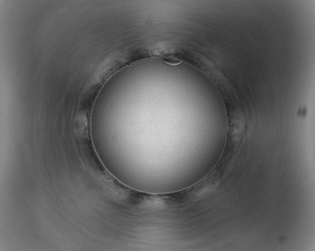 X0000112960523200909031024