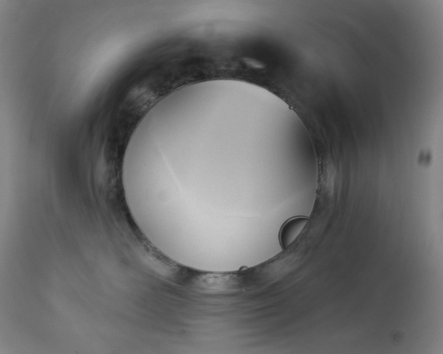 X0000112960526200909031024