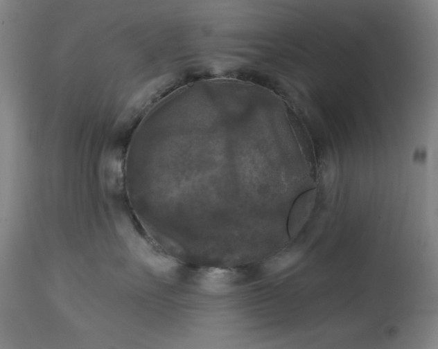 X0000112960527200909031024