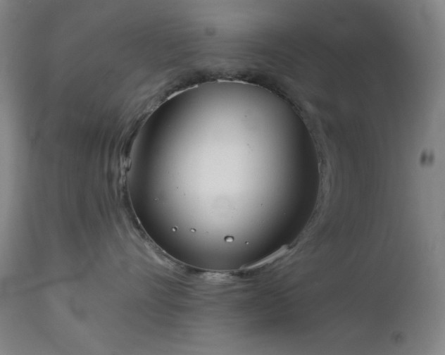 X0000112960528200909031024