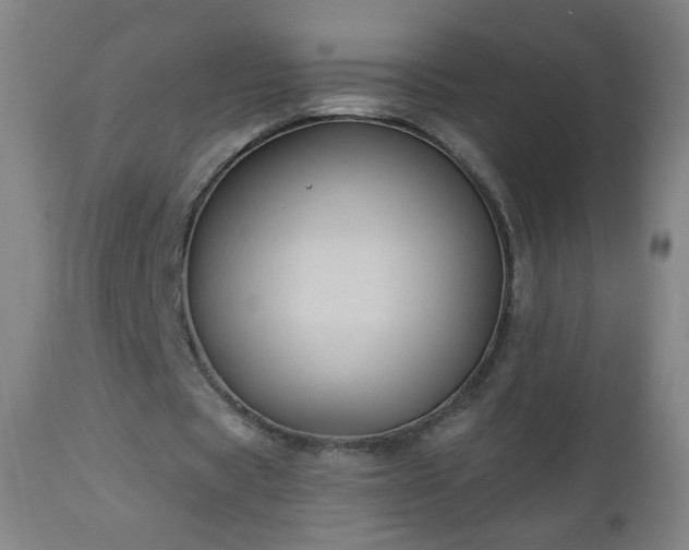 X0000112960529200909031023