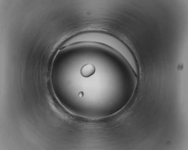 X0000112960530200909031023