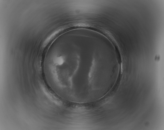 X0000112960531200909031023