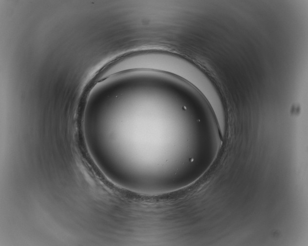 X0000112960532200909031023