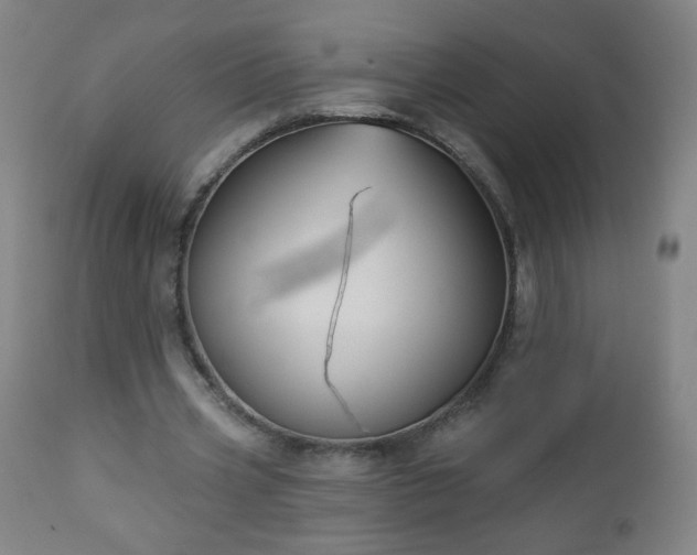 X0000112960533200909031023