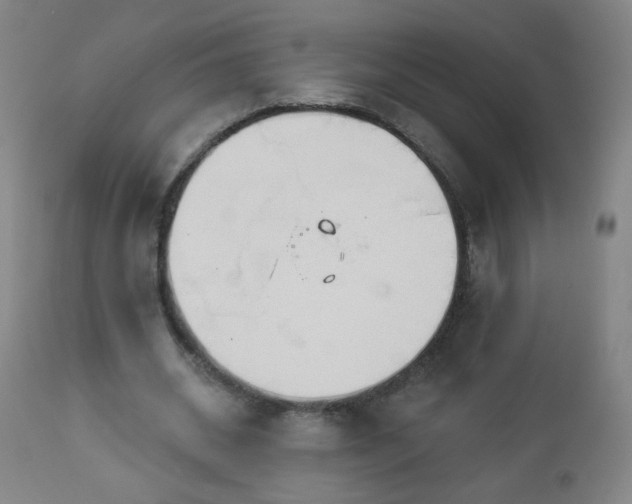 X0000112960534200909031023