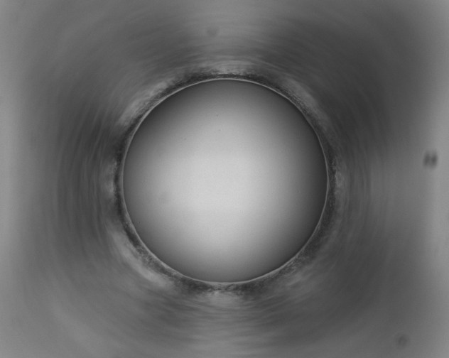 X0000112960537200909031023