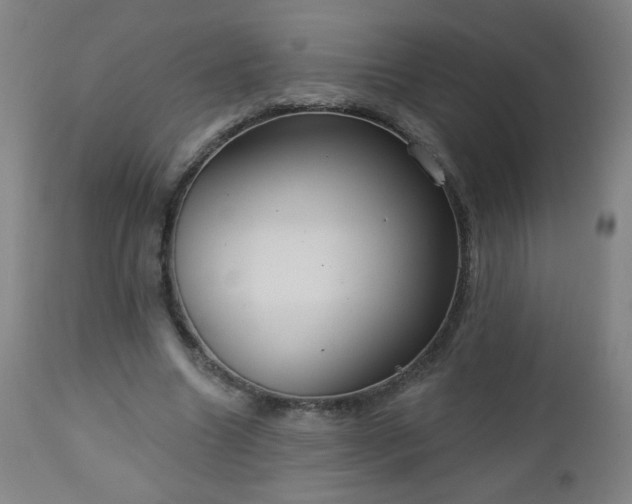 X0000112960538200909031023