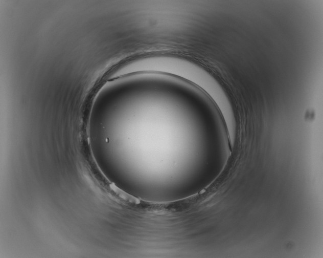 X0000112960540200909031024