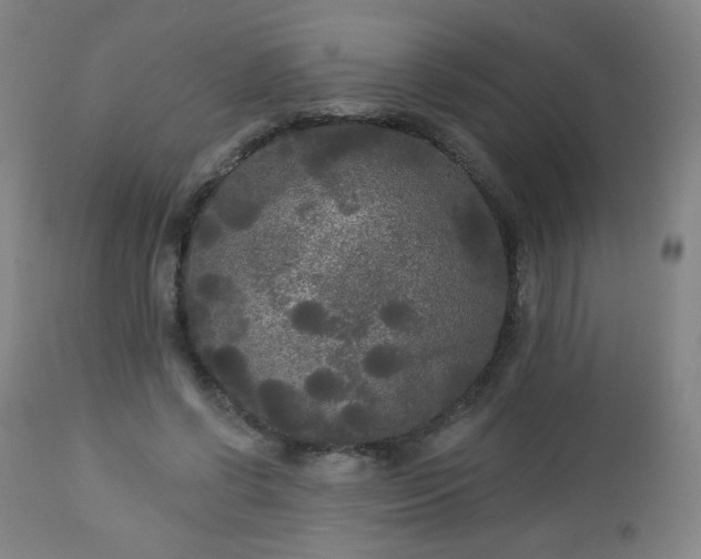 X0000112960542200909031024