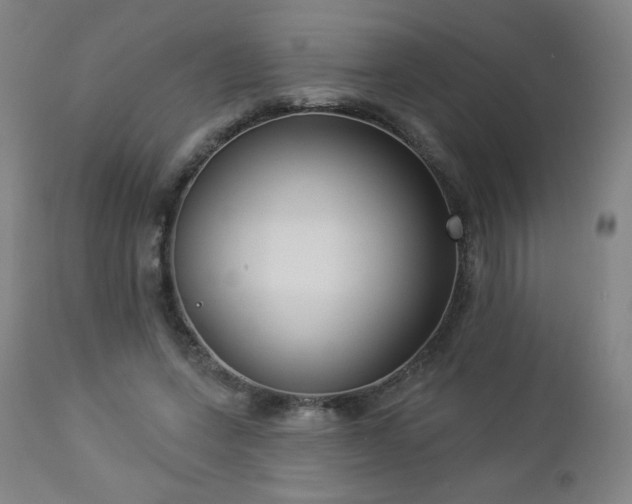 X0000112960543200909031024