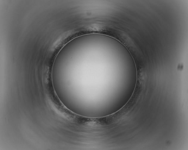 X0000112960544200909031024