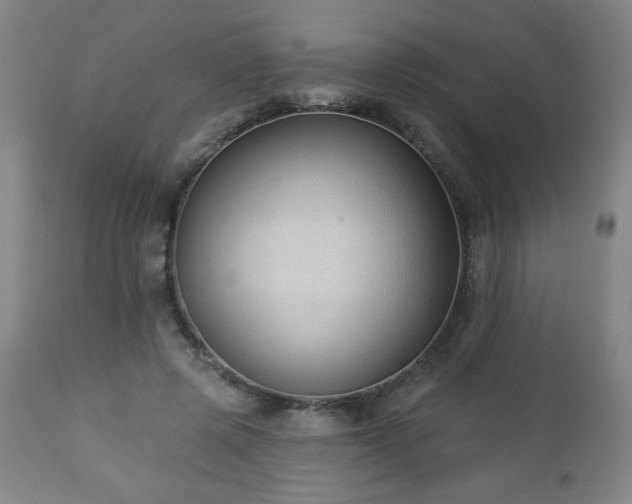 X0000112960545200909031024