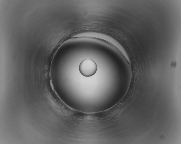 X0000112960546200909031024